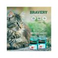 Bravery-Salmon-Adult-Cat-02