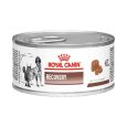 Royal Canin Lata Recovery Canino/Felino