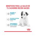 Royal-Canin-Baby-Dog-Milk-02