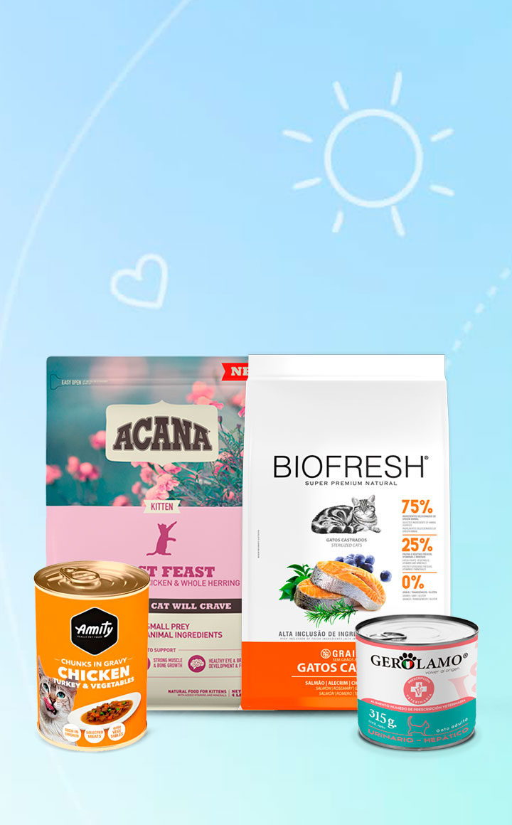 banner-celular-inicio-gato-02