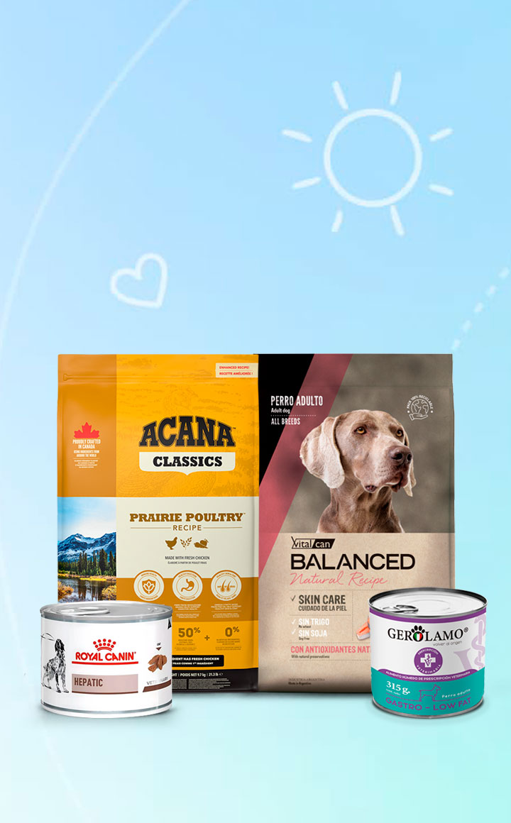 banner-celular-inicio-perro-03